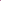 Floral Fuchsia Set