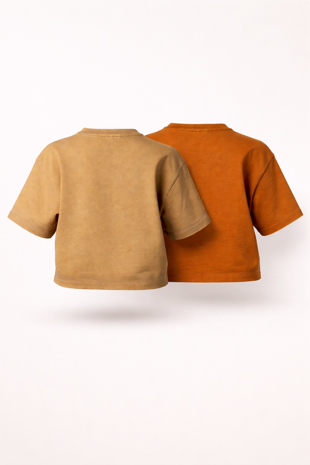 (Pack of 2) Washed Crop Tee