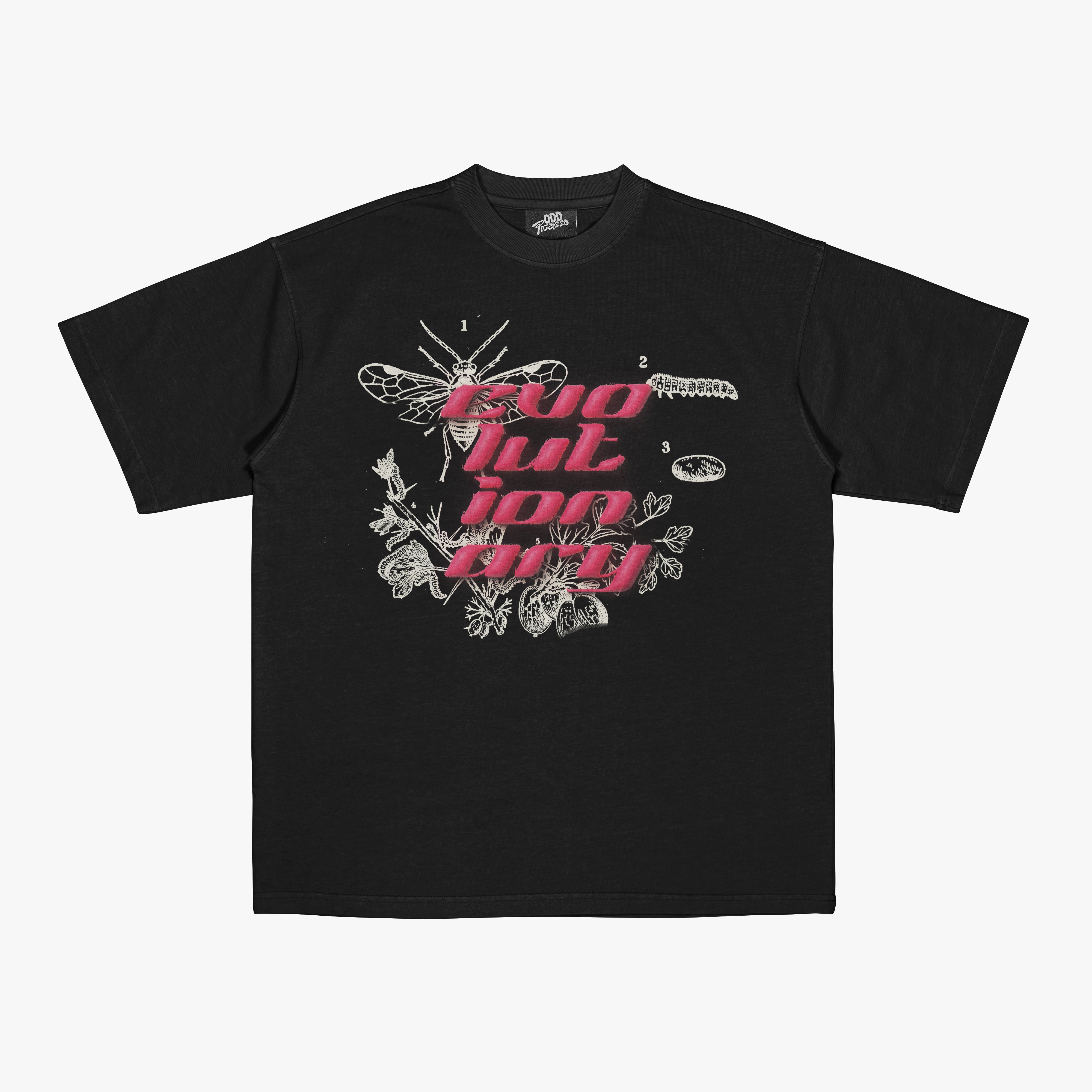 Evolutionary Tshirt