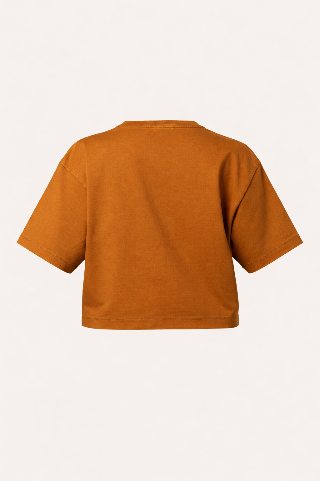 (Pack of 2) Washed Crop Tee