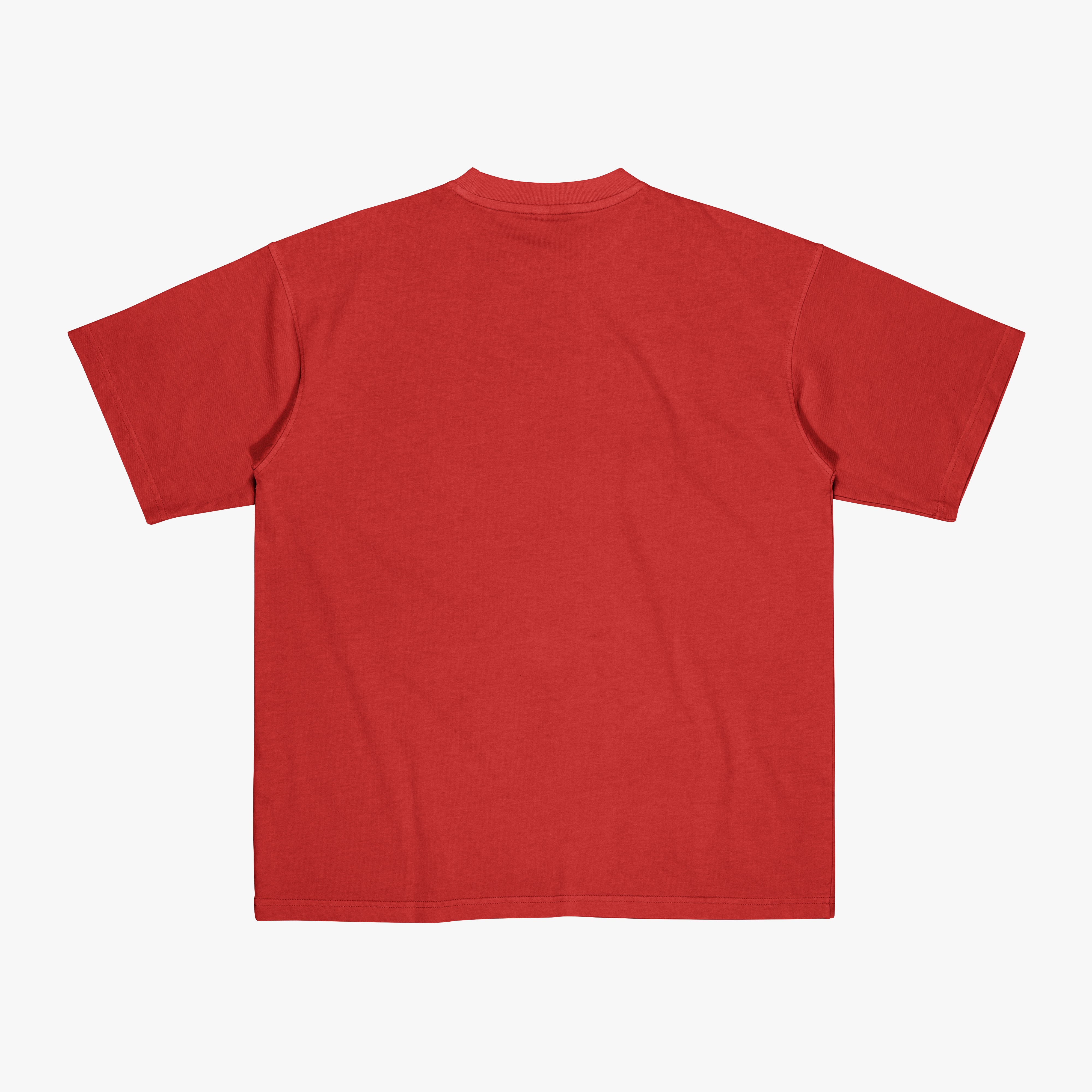 The Intellectual Tshirt